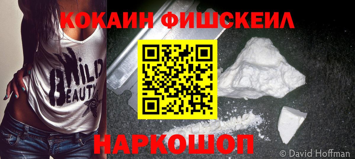 COCAIN FishScale  купить наркотики сайты  Санкт-Петербург  Вход с VPN  Cocaine 