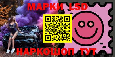 прущие грибы Новозыбков