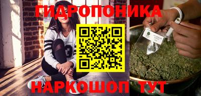 прущие грибы Новозыбков