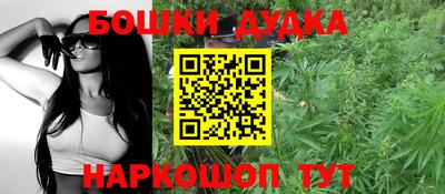 гидра Новокубанск