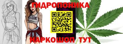 гидра Новокубанск