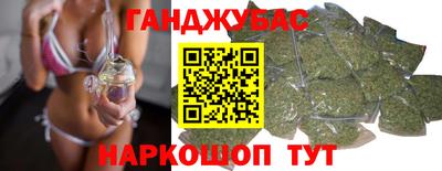 прущие грибы Новозыбков