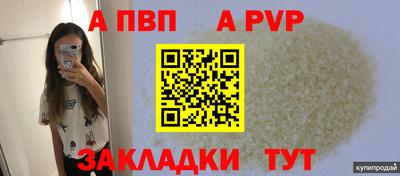 прущие грибы Новозыбков
