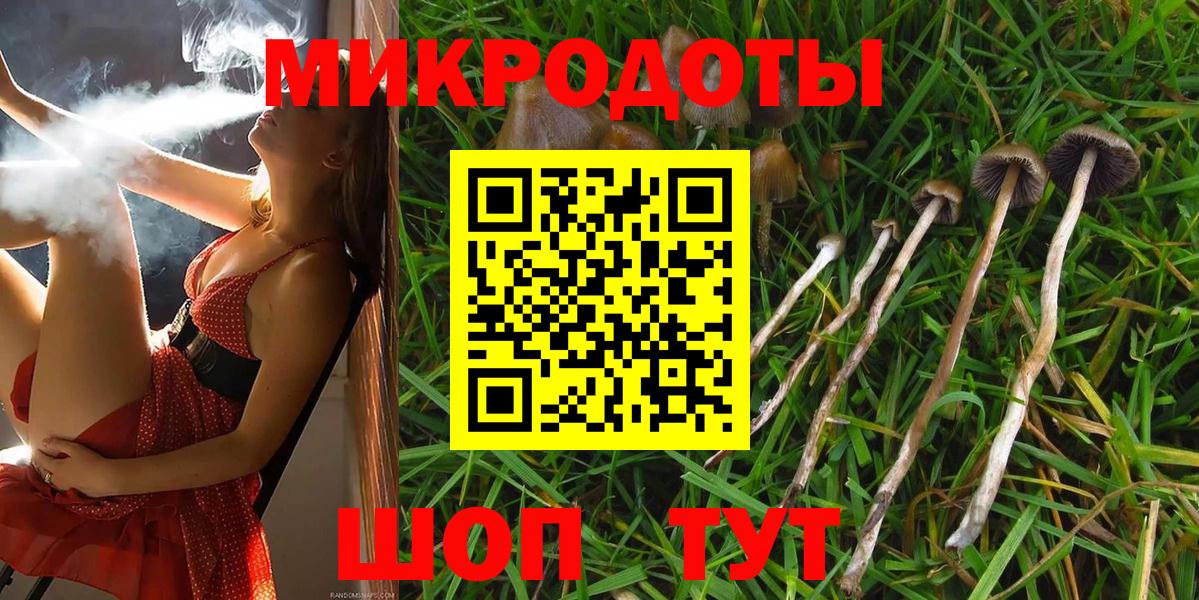 Псилоцибиновые грибы Cubensis  Галлюциногенные грибы Psilocybe  Санкт-Петербург  Вход с VPN 