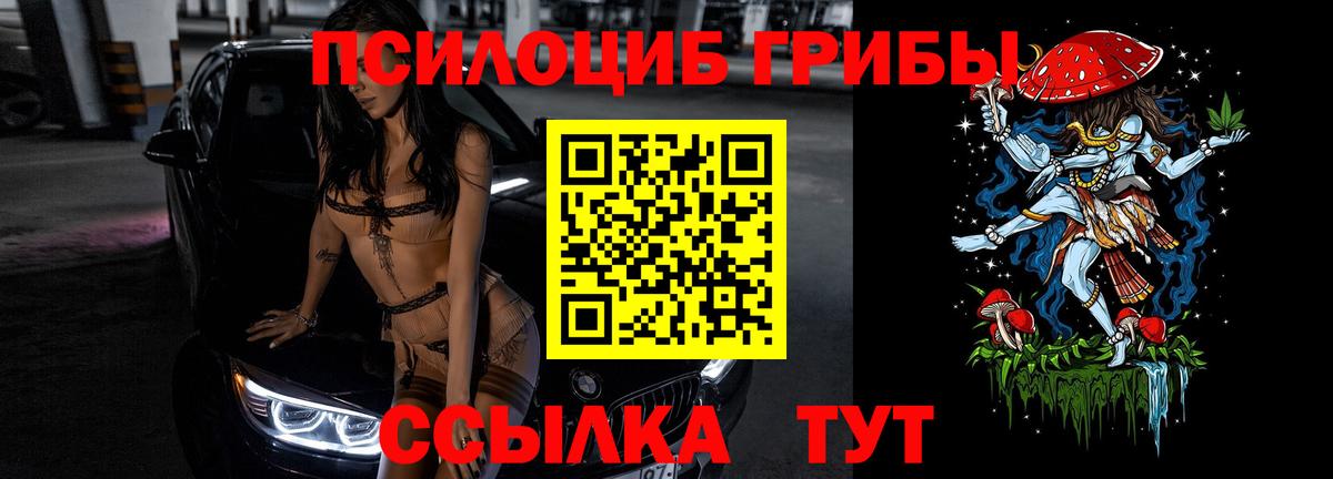 Псилоцибиновые грибы мицелий Санкт-Петербург